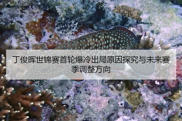 ding-jun-hui-shi-jin-sai-shou-lun-bao-leng-chu-ju-yuan-yin-tan-jiu-yu-wei-lai-sai-ji-tiao-zheng-fang-xiang-2-115.jpg
