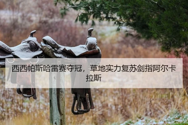 xi-xi-pa-si-ha-lei-sai-duo-guan-cao-di-shi-li-fu-su-jian-zhi-a-er-ka-la-si-2-171.jpg