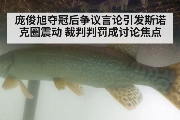 庞俊旭夺冠后争议言论引发斯诺克圈震动 裁判判罚成讨论焦点